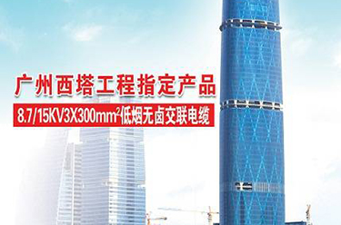 广州西塔工程指定产品